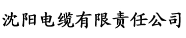 骑士福利导航电缆厂logo